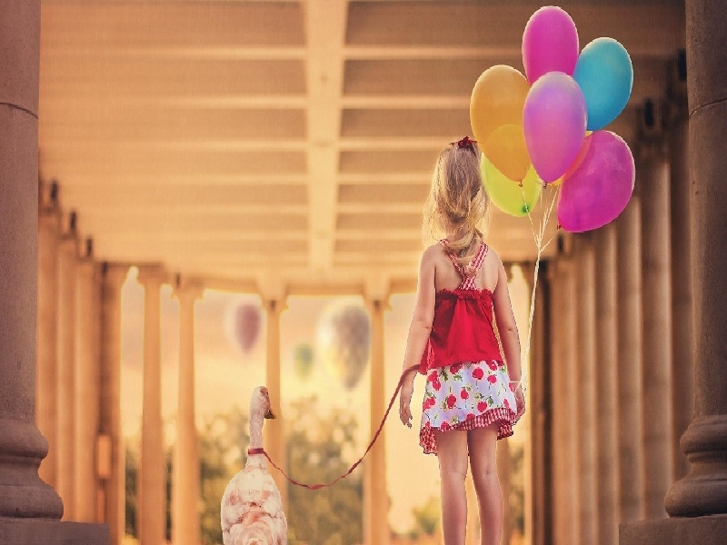 昆明中英安琪儿试管，固定试管的板子