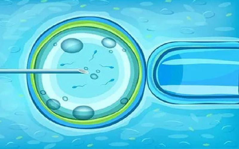 试管医院哪家可以代生